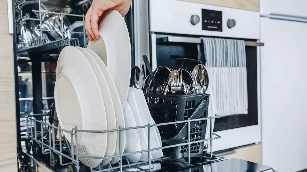 How To Prevent Your Dishwasher From Smelling Like A Wet Dog