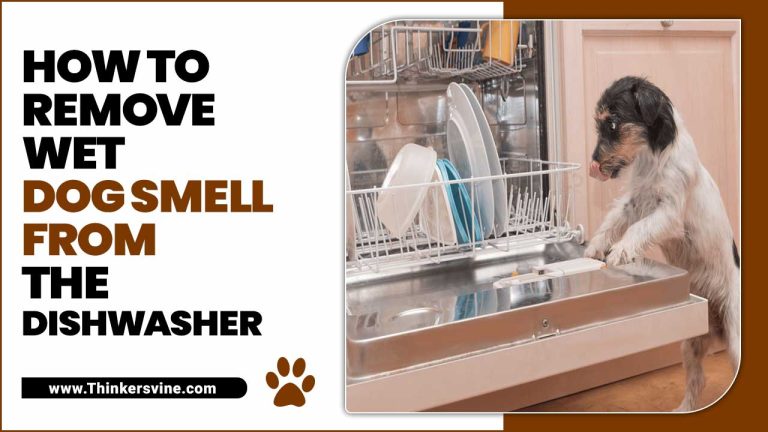 Why Does My Dishwasher Smell Like Wet Dog