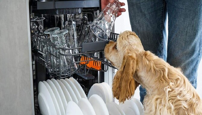 how-to-remove-wet-dog-smell-from-the-dishwasher-explained