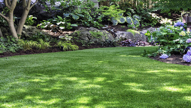 Adding A Shady Spot
