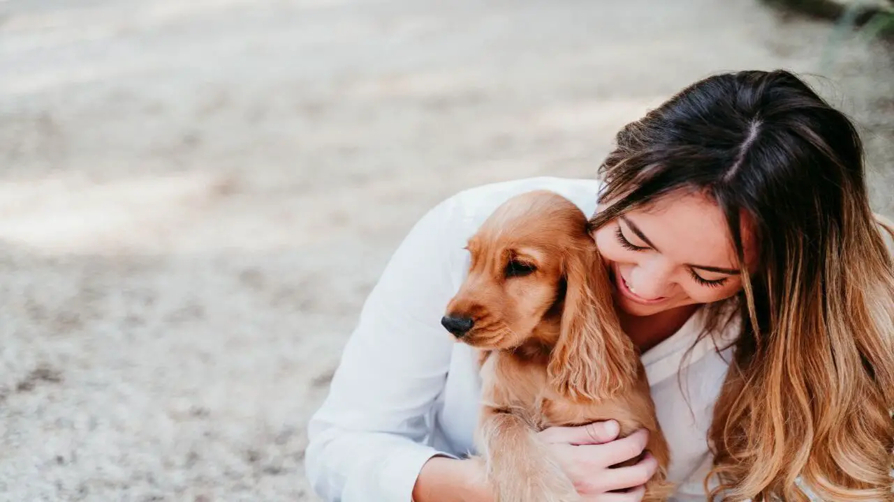 An Expert Analysis Of Emotional Support Animal Laws Georgia