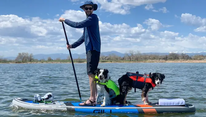 Are Paddle Boards Or Kayaks Better For Dogs - You Should Know