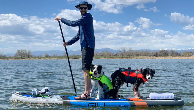 Are Paddle Boards Or Kayaks Better For Dogs - You Should Know