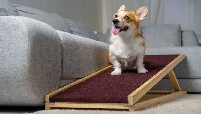 Benefits Of Using Ramps For Older Dogs