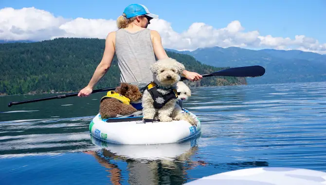 Best Paddle Boards For Dogs
