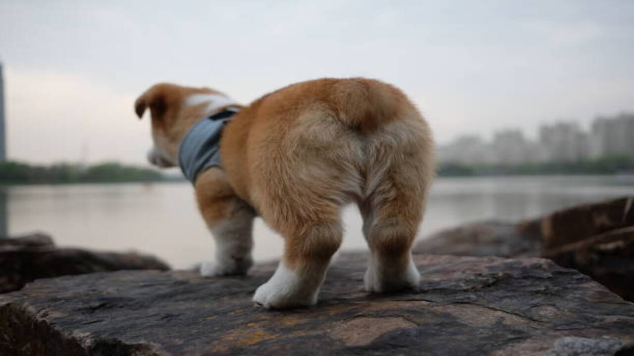 Bottom