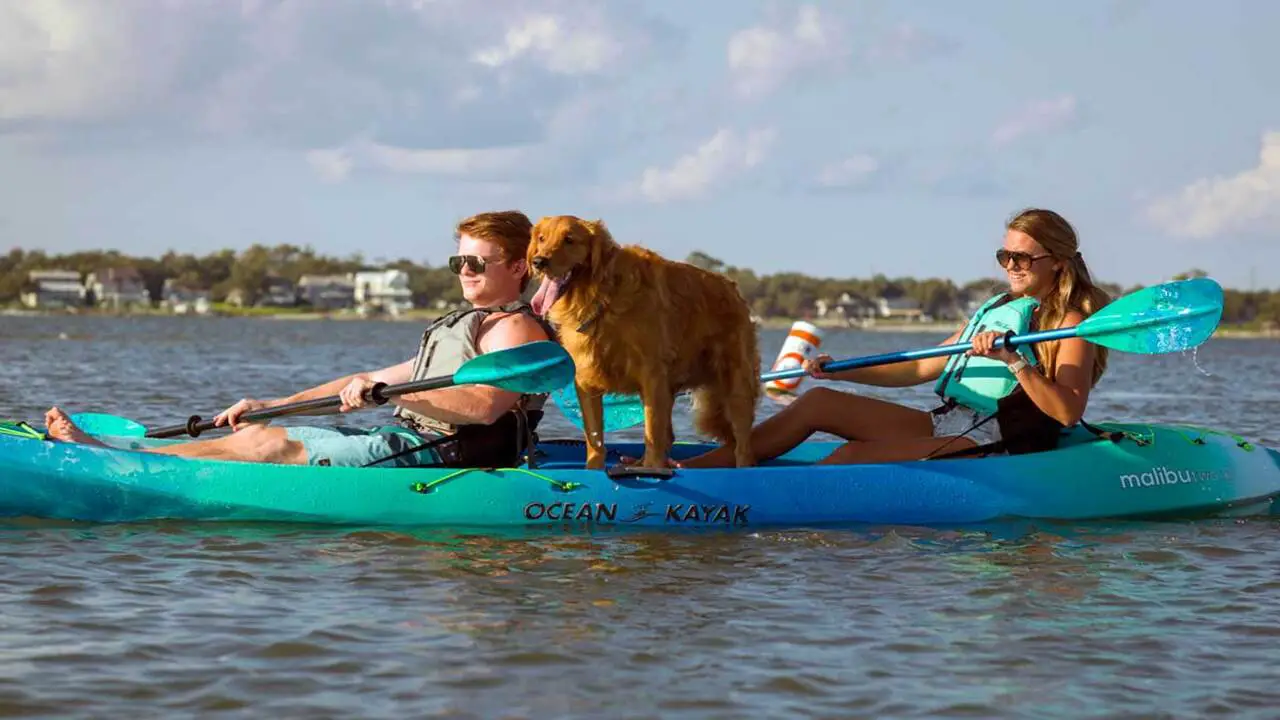 Can A Big Dog Fit On A Kayak