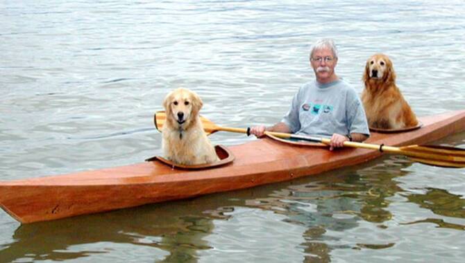 Can You Kayak With A Dog - The Revealed Answer