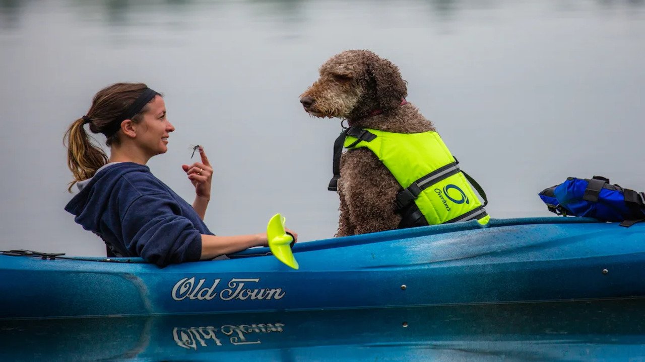 Can You Kayak With A Small Dog