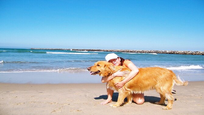Coronado Dog Beach, California