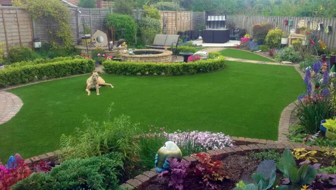 Create A Dog-Friendly Garden Design