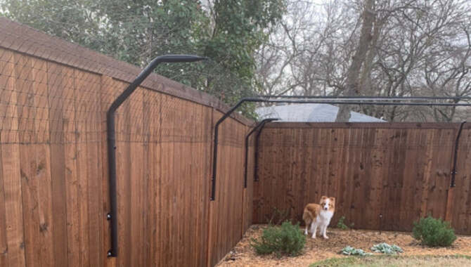 Creating A Safe And Secure Yard For Your Dog
