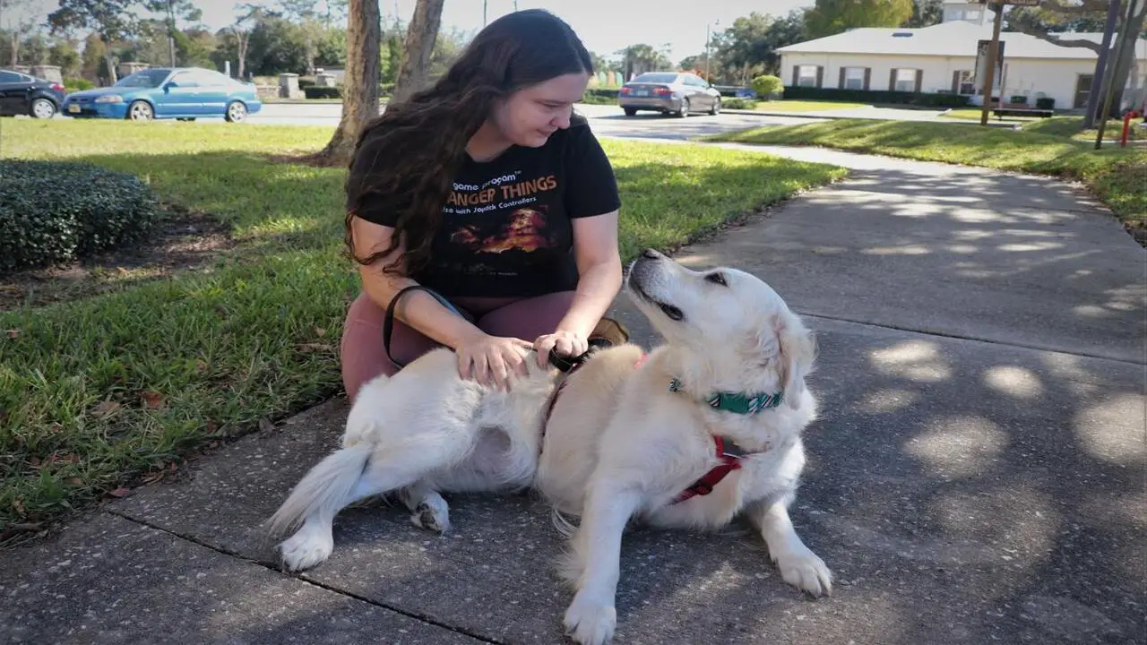 Defining Florida's Emotional Support Animal Laws