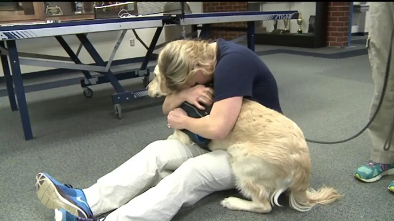 Differences Between Emotional Support Animals And Service Animals