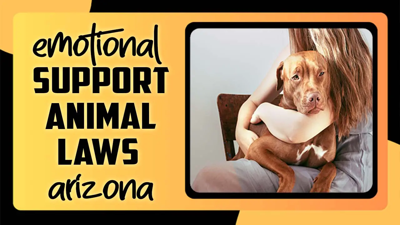 Emotional Support Animal Laws Arizona