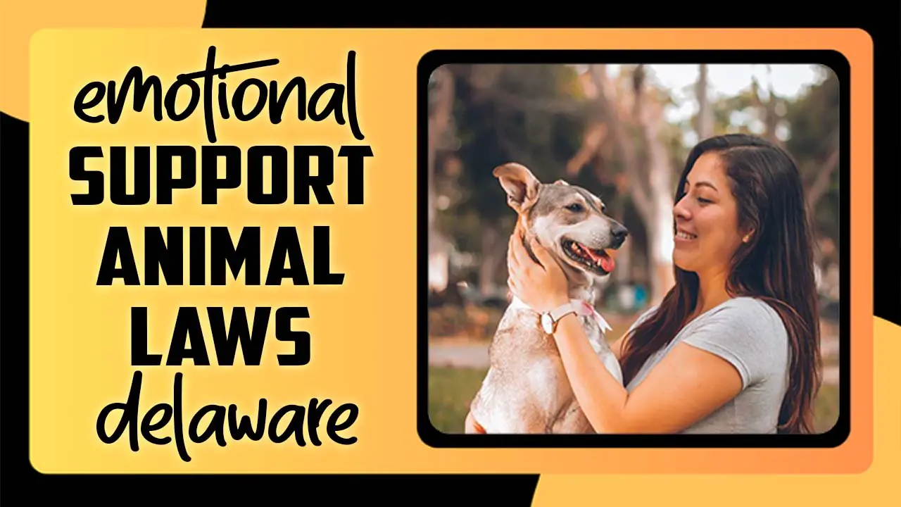 Emotional Support Animal Laws Delaware