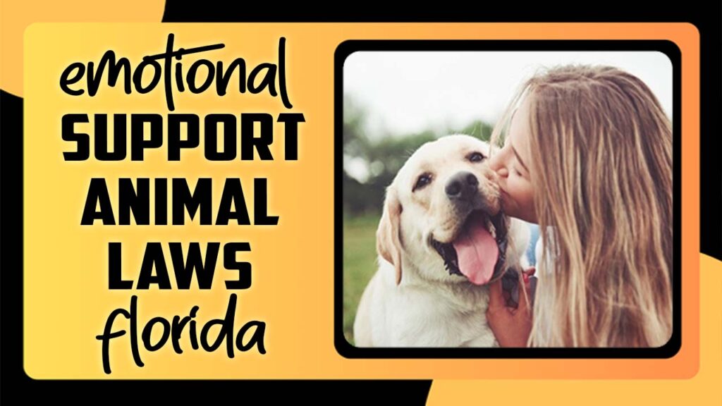 Emotional Support Animal Laws Florida Your Complete Guide