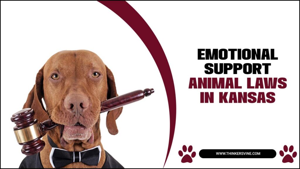 Emotional Support Animal Laws In Kansas A Legal Guide