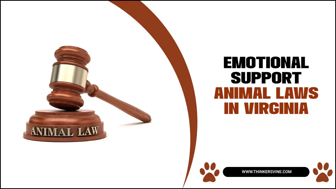 Emotional Support Animal Laws In Virginia
