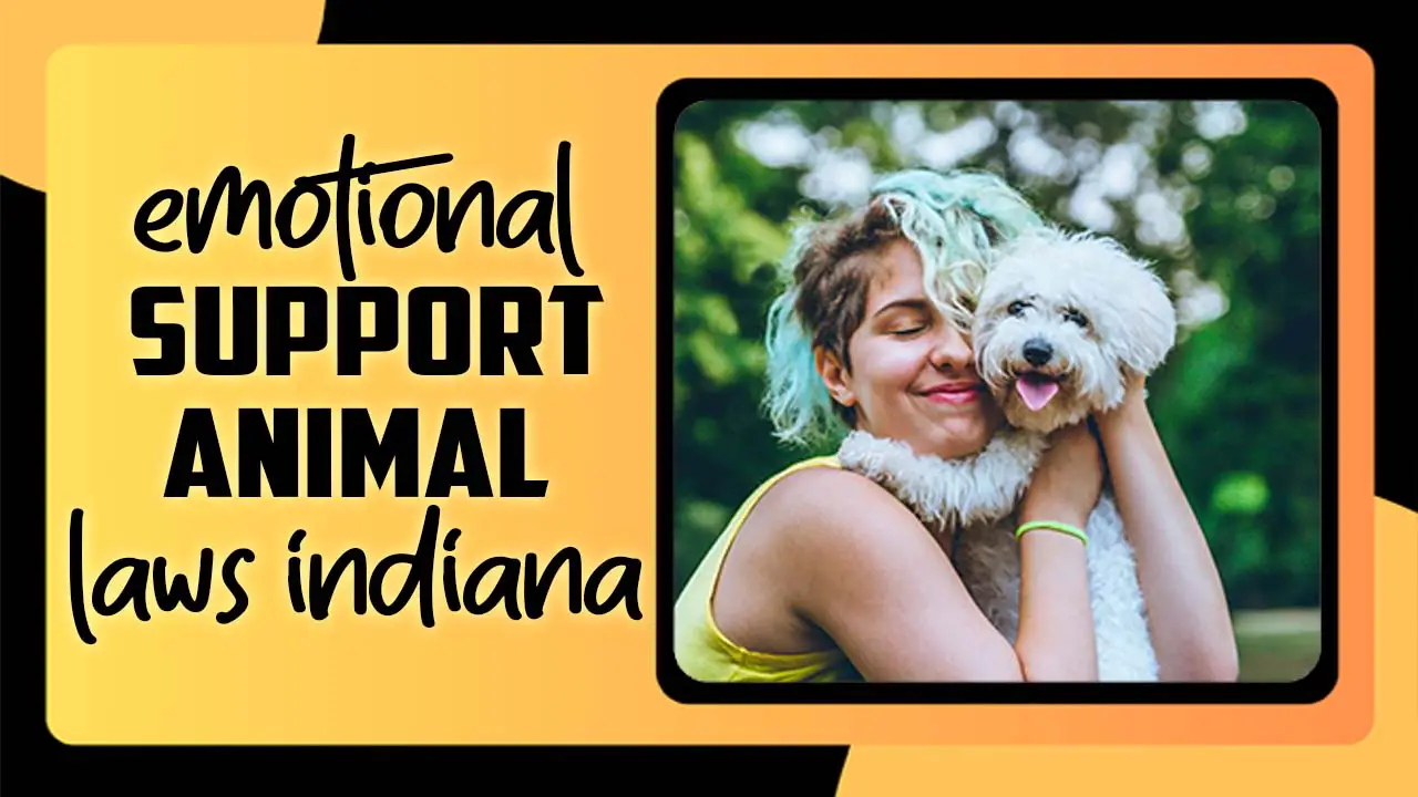 Emotional Support Animal Laws Indiana