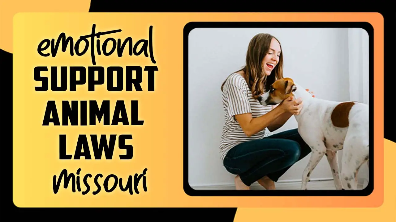 Emotional Support Animal Laws Missouri