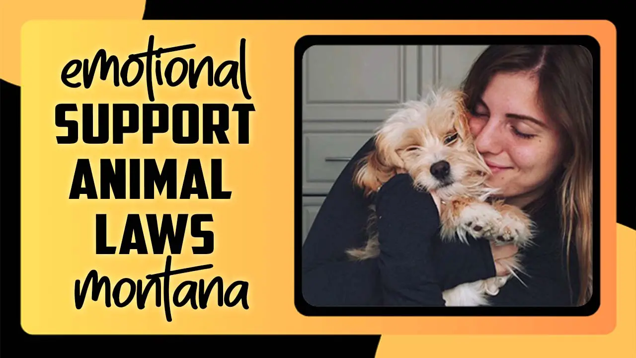 Emotional Support Animal Laws Montana