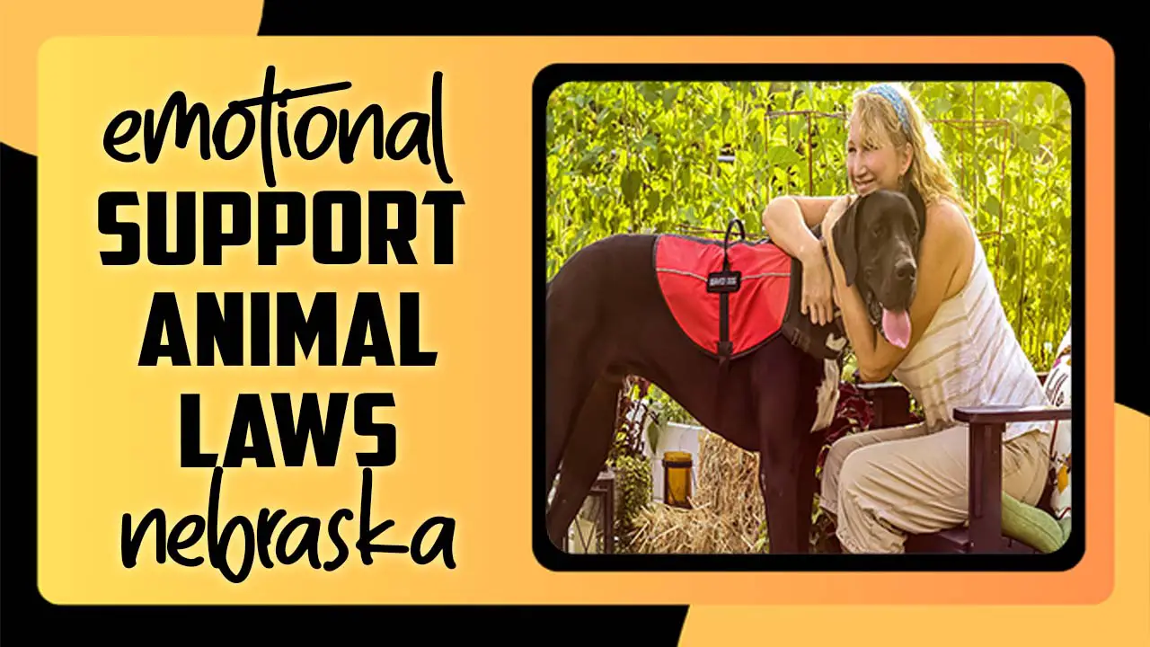 Emotional Support Animal Laws Nebraska
