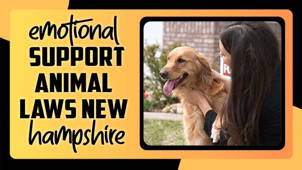 Emotional Support Animal Laws New Hampshire A Complete Guideline