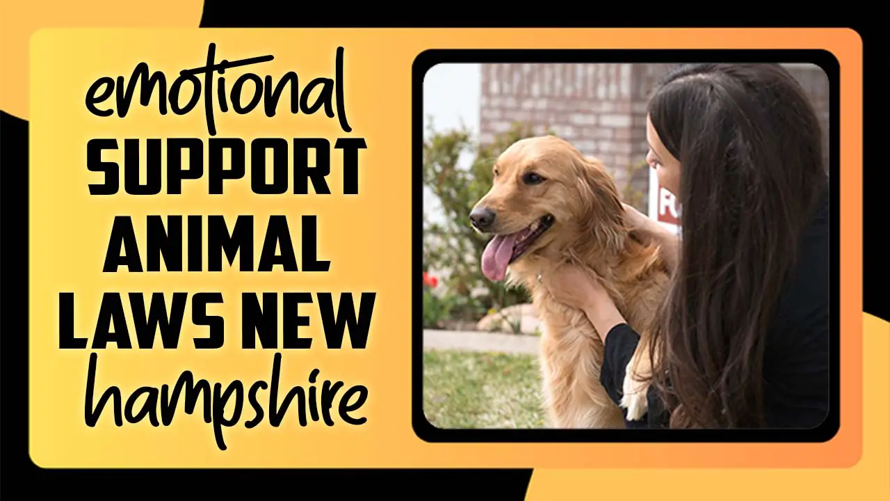 Emotional Support Animal Laws New Hampshire