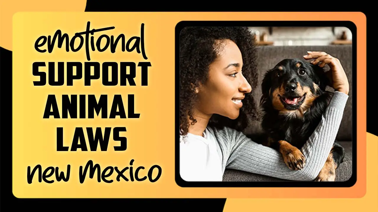 Emotional Support Animal Laws New Mexico