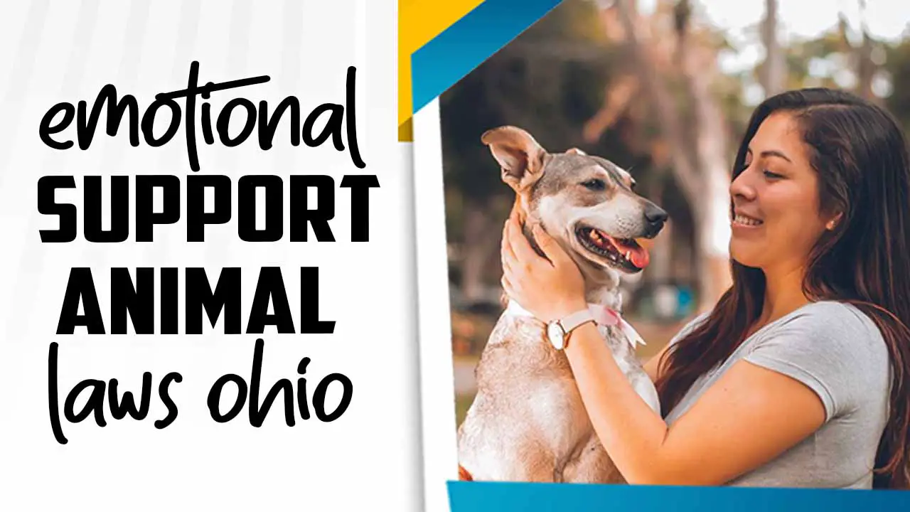 Emotional Support Animal Laws Ohio
