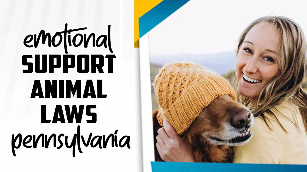 Emotional Support Animal Laws Pennsylvania