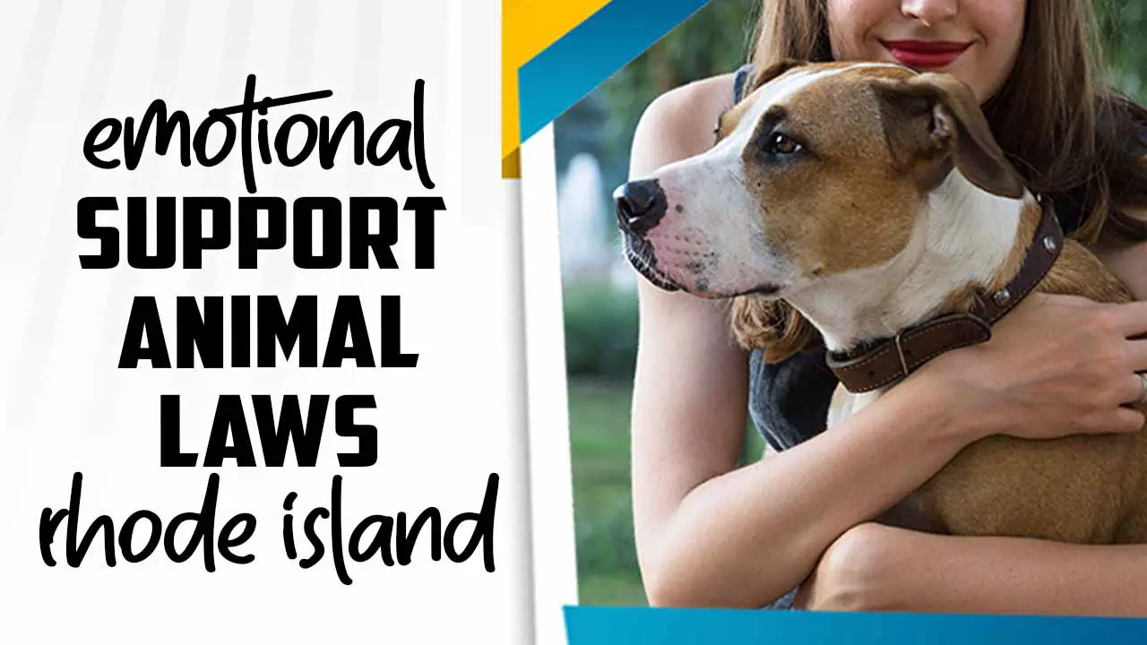 Emotional Support Animal Laws Rhode Island
