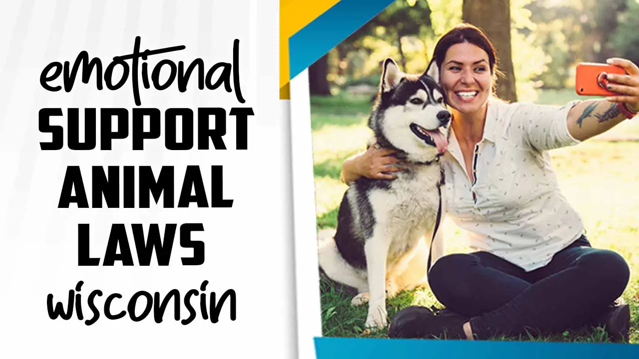 Emotional Support Animal Laws Wisconsin