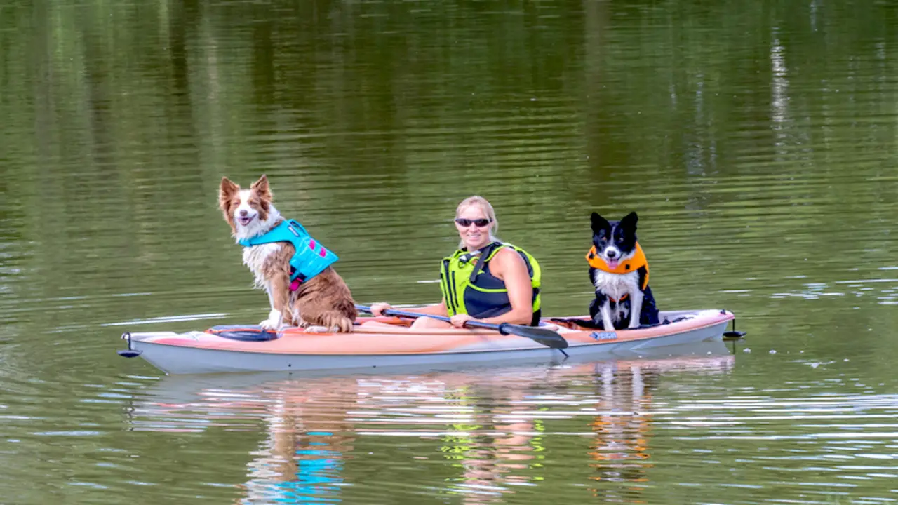 Essentials Accessories For Kayaking With Dogs
