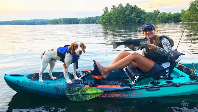 Go Kayaking With Your Dog