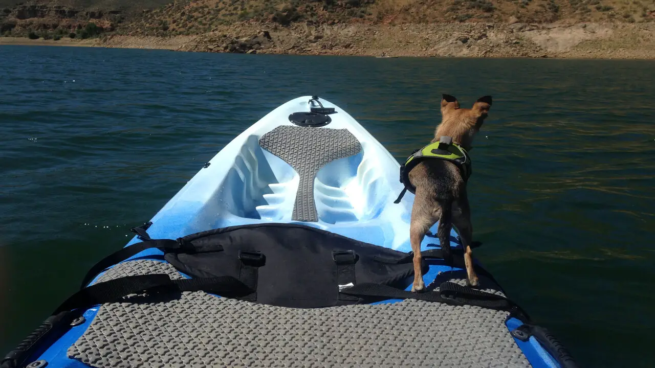 How Do I Stop My Dog From Slipping On A Kayak