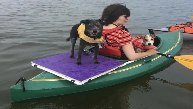 How Do I Stop My Dog From Slipping On A Kayak - Essential Tips