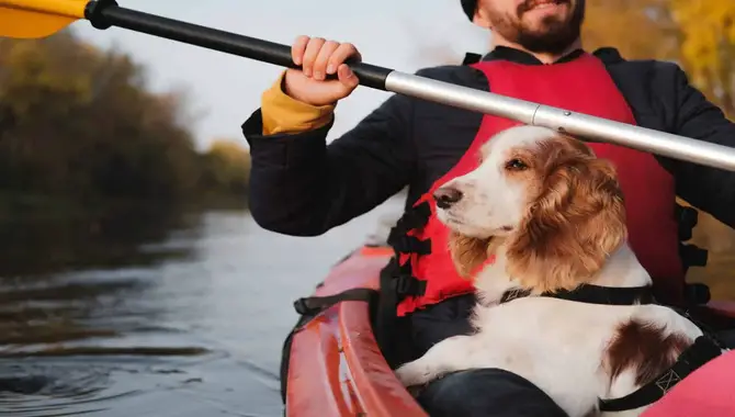 How To Choose The Best Kayak For You And Your Dog