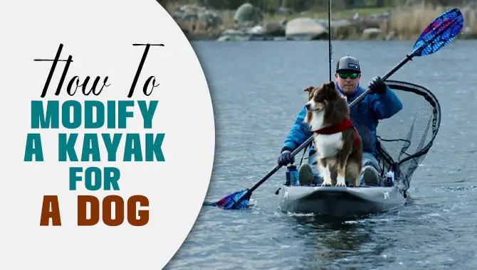 How To Modify A Kayak For A Dog
