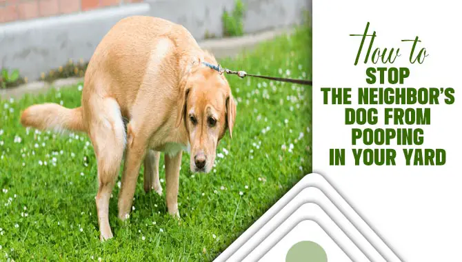 How To Stop The Neighbor’s Dog From Pooping In Your Yard