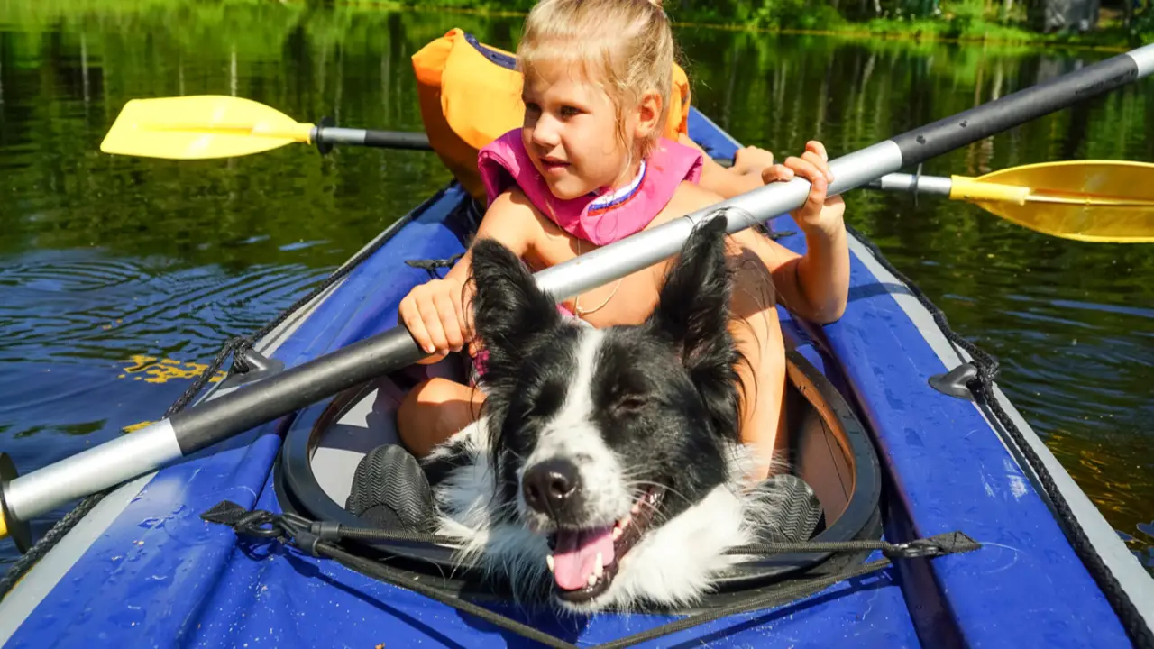 How To Train A Dog To Kayak