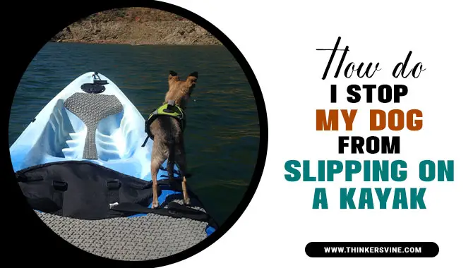 How Do I Stop My Dog From Slipping On A Kayak