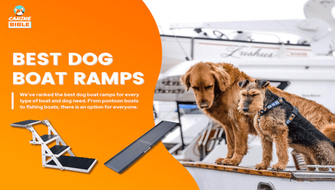 Install A Dog Ramp Or Ladder