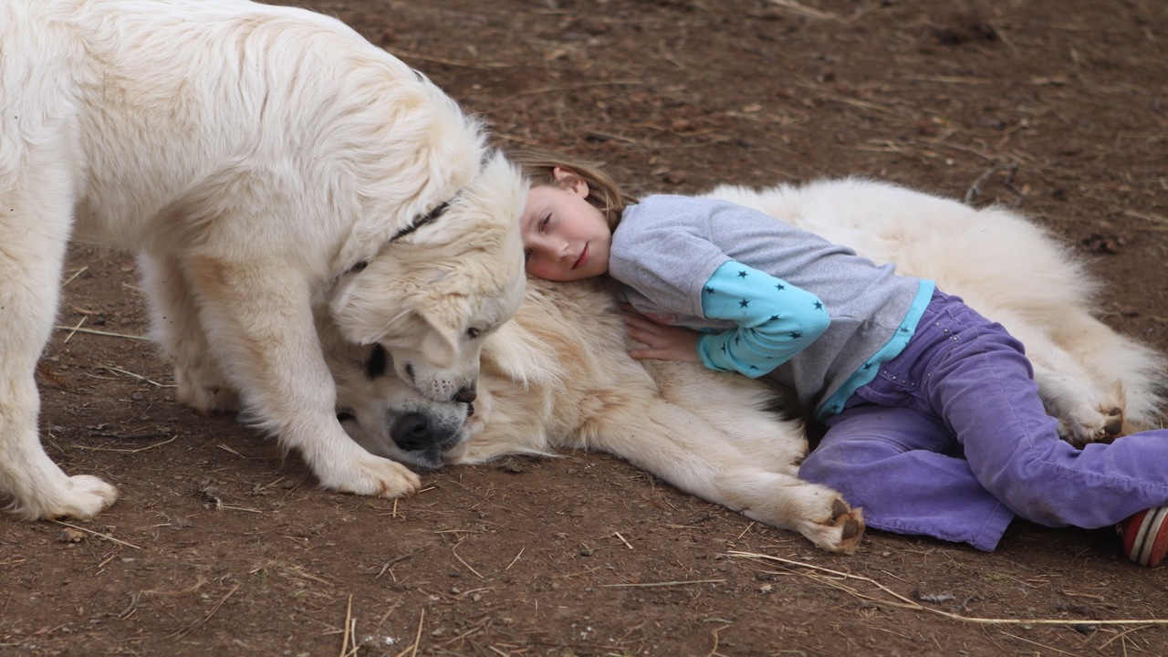 Interactions With Children And Other Pets