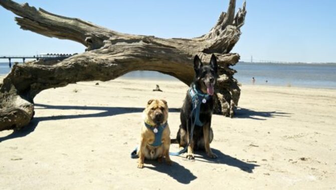 Jekyll Island, Georgia