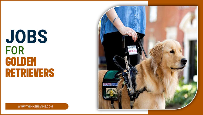Jobs for Golden Retrievers