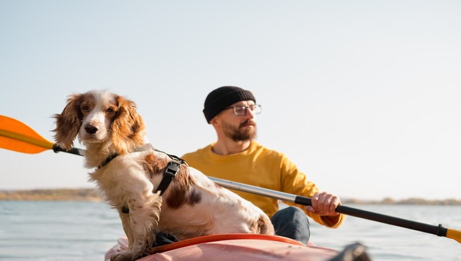 Kayak Accessories For Dogs