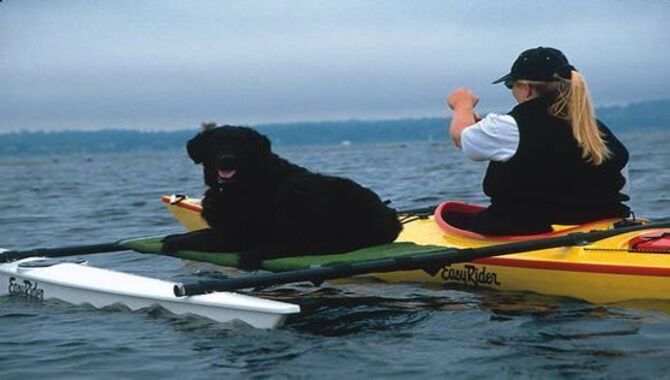 Kayak Dog Decks