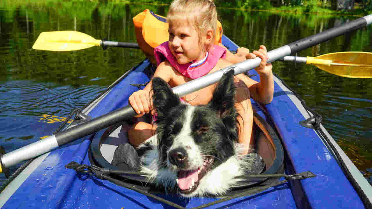 Kayaking With Dog Do's And Don'ts